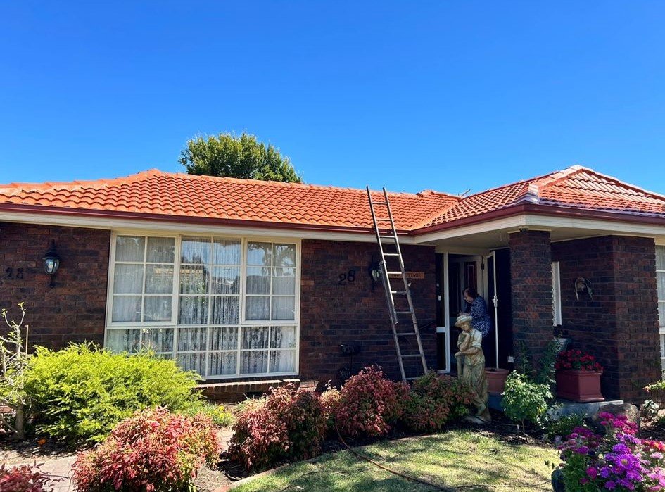 WhatsApp Image 2025-05-14 at 15.59.18_8e10989f