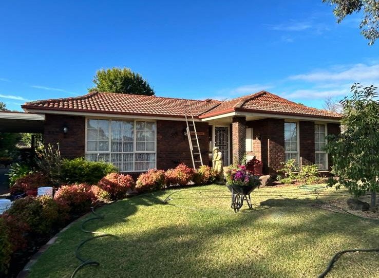 WhatsApp Image 2025-05-14 at 15.59.20_03ad8a37