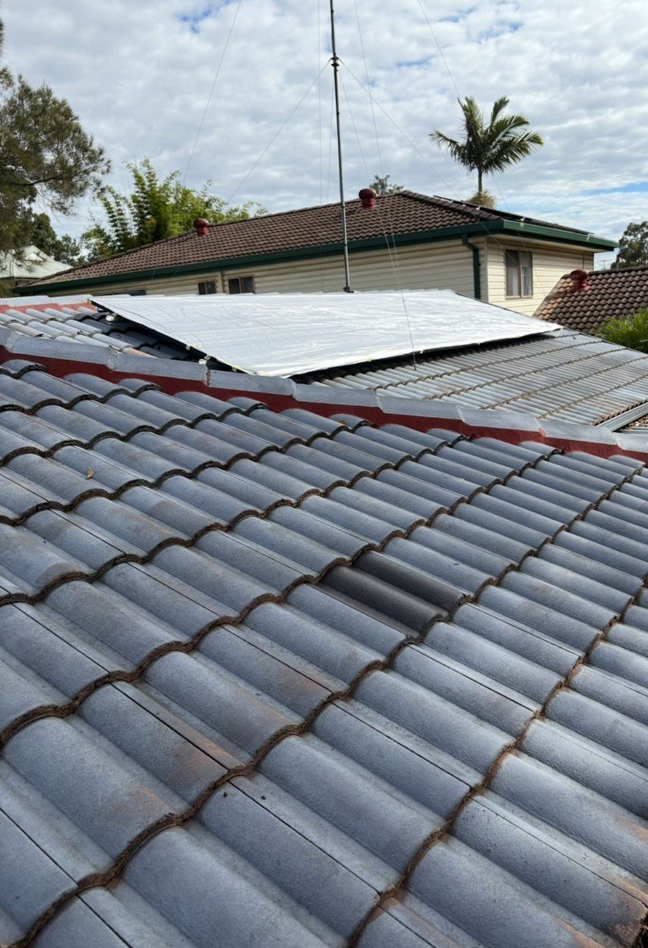 WhatsApp Image 2025-05-14 at 15.59.22_562b78da